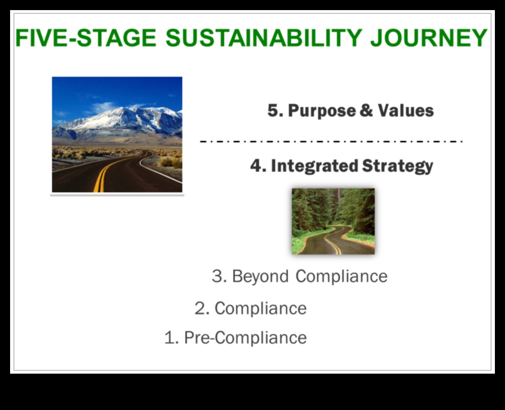 من المفهوم الأخضر إلى النقر: رحلة محترف في الاستكشاف المستدام