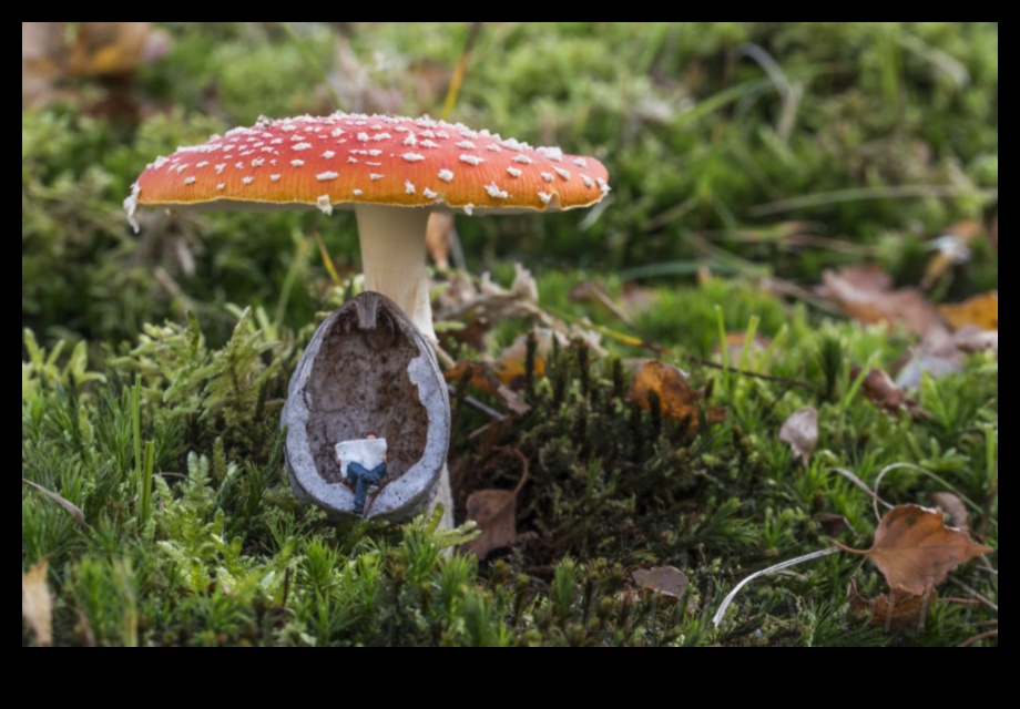 عوالم صغيرة، تأثير كبير فن التصوير الكلي 4 عوالم صغيرة، تأثير كبير: استكشاف فن التصوير الكلي