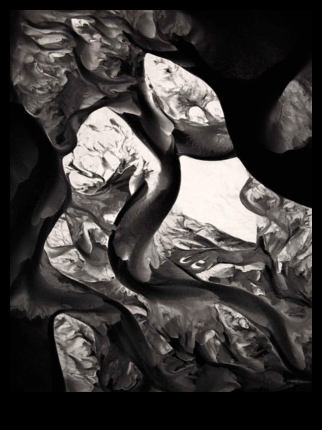 الولاء المجرد: العثور على الفن في أساليب التصوير الفوتوغرافي غير التقليدية