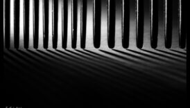 الولاء المجرد: العثور على الفن في أساليب التصوير الفوتوغرافي غير التقليدية