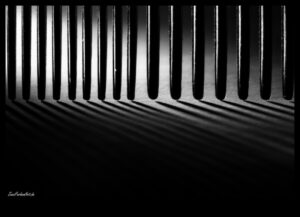 الولاء المجرد: العثور على الفن في أساليب التصوير الفوتوغرافي غير التقليدية