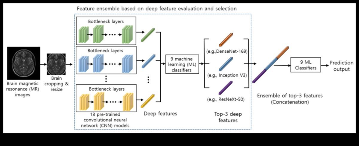 صدى التعلم الآلي: خلق انطباعات دائمة من خلال تجارب التعلم