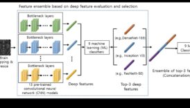 صدى التعلم الآلي: خلق انطباعات دائمة من خلال تجارب التعلم