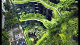 المهندسون المعماريون الأخضرون: بناء حلول الغد باستخدام تقنيات مبتكرة صديقة للبيئة