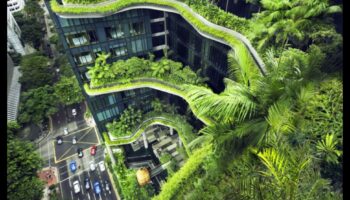 المهندسون المعماريون الأخضرون: بناء حلول الغد باستخدام تقنيات مبتكرة صديقة للبيئة