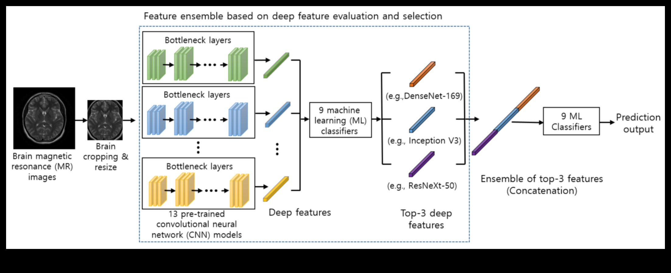 صدى التعلم الآلي: خلق انطباعات دائمة من خلال تجارب التعلم